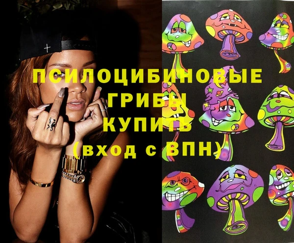 хмурый Белоозёрский