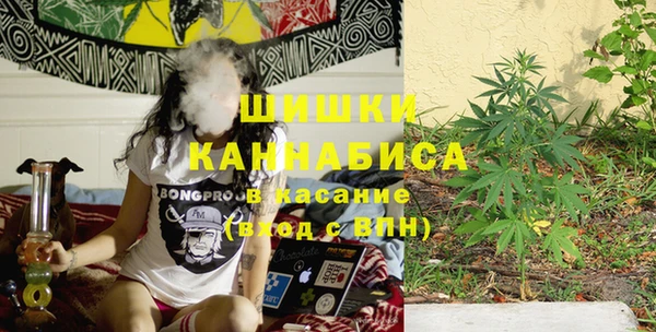 каннабис Белокуриха