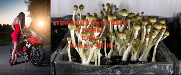 mix Беломорск