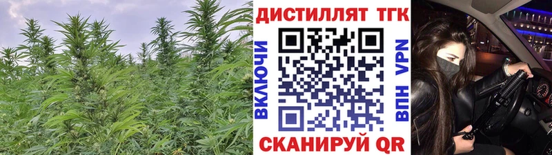 Дистиллят ТГК Wax  Химки 